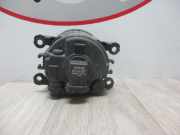 Nebelscheinwerfer Links Vorne 8200074008 Renault Laguna II (BG) Schrägheck 5-drs 1.9 dCi 110 (F9Q-674)