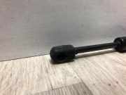 Gasdruckfeder Hinten Audi A4 (B6) Limousine 1.9 TDI 115 (BKE)