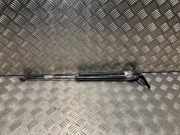 Gasdruckfeder Hinten 1747492 Ford Focus 3 Schrägheck 1.6 TDCi 95 (T3DB)
