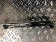 Gasdruckfeder Hinten 844307620R Renault Clio IV Estate/Grandtour (7R) Kombi 5-drs 1.5 Energy dCi 90 FAP (K9K-608(K9K-B6))