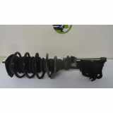 Federbein Rechts Vorne RSC000040 Land + Range Rover Freelander Hard Top Geländewagen 1.8 16V (K16-1.8) 2003