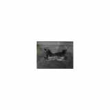 Unterrahme Vorne 544014319R Renault Laguna III (BT) Schrägheck 5-drs 1.5 dCi 110 (K9K-780) 2008