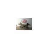 Unterrahme Vorne 1761689 Ford TRANSIT 4 2.4 TDCI - 16V TURBO 4X4
