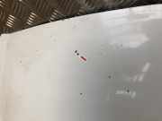 Motorhaube 6510000Q0L Nissan Primastar Van 2.0 dCi 120 (M9R-786)