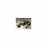 Sicherheitsgurt Links Vorne 81850SEDG01ZA Honda Accord Tourer (CM/CN) Kombi 2.2 CTDi 16V (N22A1) 2006
