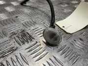 Blinker Scherm Rechts Vorne 1607568 Ford Ka II Schr?gheck 1.2 (169.A.4000)