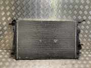 Radiator 214101448R Renault Scénic III (JZ) Großraumlimousine 1.9 dCi (F9Q-872(F9Q-P8))