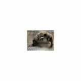 Innenkotflügel Links Hinten 9832023580 Peugeot 2008 (UD/UK/UR/US/UX) Großraumlimousine 1.5 BlueHDi 100 (DV5RD(YHY)) 2021