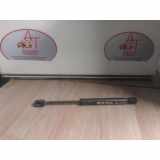 Gasdruckfeder Hinten Volkswagen Bora (1J2) Limousine 1.6 (AKL) AKL