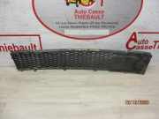 Stoßstangengitter 735455043 Fiat 500C (312) Cabrio 1.2 69 (169.A.4000)