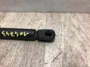 Gasdruckfeder Vorne C2S1927 Jaguar X-type