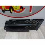 Stoßstangengitter 51117906494 BMW 3 serie (E90) Limousine 320i 16V (N46-B20B) 2005