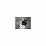 Bremssattel Rechts Hinten 34216860558 Mini Mini (F56) Schrägheck 3-drs 2.0 16V Cooper S (B48A20F) 2021
