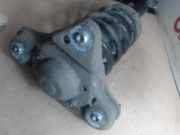 Federbein Rechts Vorne 4B0412031CE Volkswagen Passat Variant (3B6) Kombi 1.9 TDI 130 (AWX) AWX