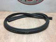 Heckklappe Gummi Audi A3 Sportback (8PA) Schrägheck 5-drs 1.9 TDI (BLS)