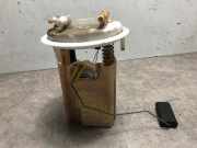 Kraftstoffpumpe DOMPELPOMP Citroën C5 III Tourer (RW) Kombi 2.0 HDiF 16V (DW10BTED4(RHR))