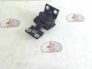 T?rscharnier ACHTERDEUR LINKS Citro?n Berlingo Van 1.9 Di (DW8B(WJY)) DW8B(WJY)