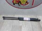 Gasdruckfeder Hinten 00008731V4 Citroën DS3 (SA) Schrägheck 1.6 e-HDi 16V 115 (DV6C(9HD))