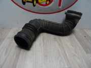 Lufteinlass - Renault Clio Societe (S/3/657) Van 1.9D (F8Q-678)