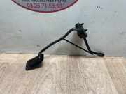 Gaspedal 8200414917 Renault Twingo (C06) Schrägheck 3-drs 1.2 (D7F-700)