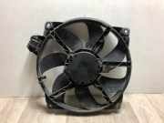 Kühlerlüfter 214810898R Renault Scénic III (JZ) Großraumlimousine 1.9 dCi (F9Q-872(F9Q-P8))