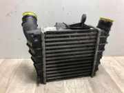 Ladeluftkühler 6Q0145804A Volkswagen Polo IV (9N1/2/3) Schrägheck 1.9 TDI 100 (AXR) AXR
