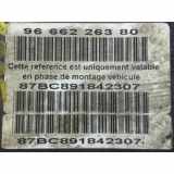 Abs Pumpe 00004541KL Citroën C5 Touring (RW) Kombi 2.0 HDiF 16V (DW10BTED4(RHD))