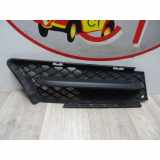 Stoßstangengitter 51117906494 BMW 3 serie (E90) Limousine 320i 16V (N46-B20B) 2005
