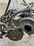 Motor 101029W2AF Nissan Murano (Z50) SUV 3.5 V6 24V 4x4 (VQ35DE)