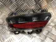 Nebelscheinwerfer Links Hinten 2658555239R Renault Captur II (RJB) SUV 1.0 TCe 100 12V Bi-Fuel (H4D-480(H4D-F4))