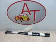 Gasdruckfeder Hinten 51812267 Fiat Bravo (198A) Schrägheck 1.6 JTD Multijet 105 (198.A.3000)