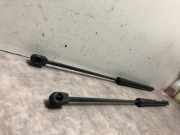 Gasdruckfeder Hinten Ford Kuga I SUV 2.0 TDCi 16V 163 4x4 (TXDA)