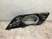 Stoßstangenteil MISTLAMPKAP Mercedes-Benz E (W211) Limousine 2.2 E-220 CDI 16V (OM646.821)