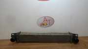 Ladeluftk?hler Fiat Fiorino (225) Van 1.3 JTD 16V Multijet (199.A.2000)