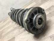 Federbein Links Vorne 586661303 BMW 5 serie (G30) Limousine 530e iPerformance (B48-B20A)