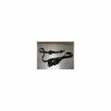 Sicherheitsgurt Links Hinten 1S0857805BRAA Skoda Citigo Schrägheck 1.0 12V (CHYA) 2016