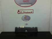 Grill 96129991YB Citroën C-15 Van 1.8 D (XUD7(161A))