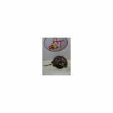 Achsschenkel Links Vorne 90468577 Opel Vectra B (36) Limousine 1.6 (X16SZR) 1998