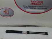 Gasdruckfeder Hinten 9800717780 Citroën C4 Berline (NC) Schrägheck 5-drs 1.6 e-HDI (DV6C(9HR))
