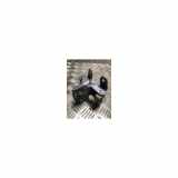 Türscharniere Links Vorne 824204A00B Nissan Pixo Schrägheck 1.0 12V (K10B) 2009