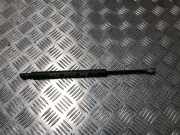 Gasdruckfeder Hinten 51248254281 BMW 3 serie (E46/2) Coupé 323 Ci 24V (M52-B25(256S4))