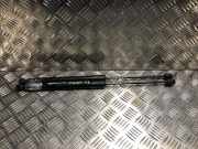 Gasdruckfeder Hinten YQ00461280 Citroën C3 Aircross I (2C/2R) SUV 1.2 e-THP PureTech 110 (EB2ADT(HNP))