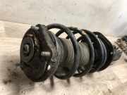 Federbein Rechts Vorne 52093962 Fiat Doblo (263) Großraumlimousine 1.3 D Multijet (263.A.2000)