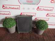 Radiator 8200742598 Renault Clio II Societe (SB)