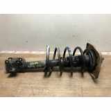 Federbein Rechts Vorne Fiat SCUDO 1 PHASE 1 1.9D - 8V 2001