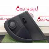 Türverkleidung Rechts Hinten 8200419116 Renault Clio III (BR/CR) Schrägheck 1.2 16V 75 (D4F-740)
