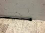 Gasdruckfeder Rechts Hinten 8200497806 Renault KANGOO 2 PHASE 1