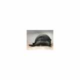 Innenkotflügel Links Hinten 767493061R Renault Megane III Berline (BZ) Schrägheck 5-drs 1.9 dCi (F9Q-N870) 2009