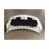 Motorhaube 00007901R1 DS DS 3 (SA) Schrägheck 1.2 12V PureTech 82 (EB2F(HMZ)) 2018 EB2F(HMZ)