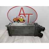 Ladeluftkühler 00000384G5 Citroën Xsara Picasso (CH) Großraumlimousine 1.6 HDi 16V 110 (DV6TED4(9HY)) 2004